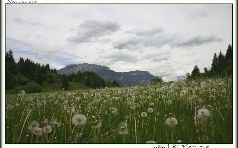 Val di Fiemme