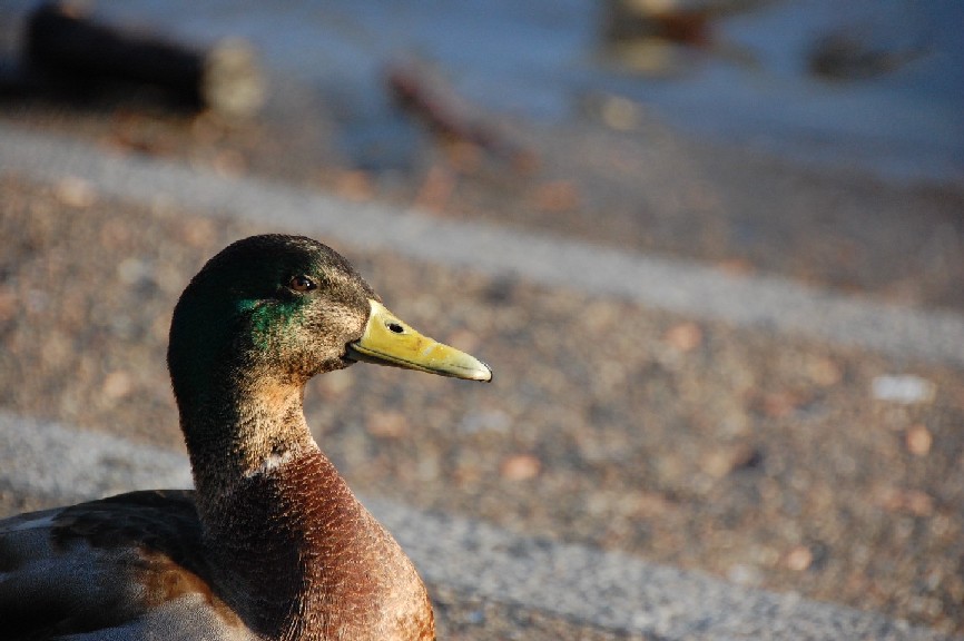 primi scatti per il corso di fotografia