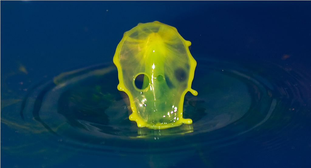 La mia prima goccia!