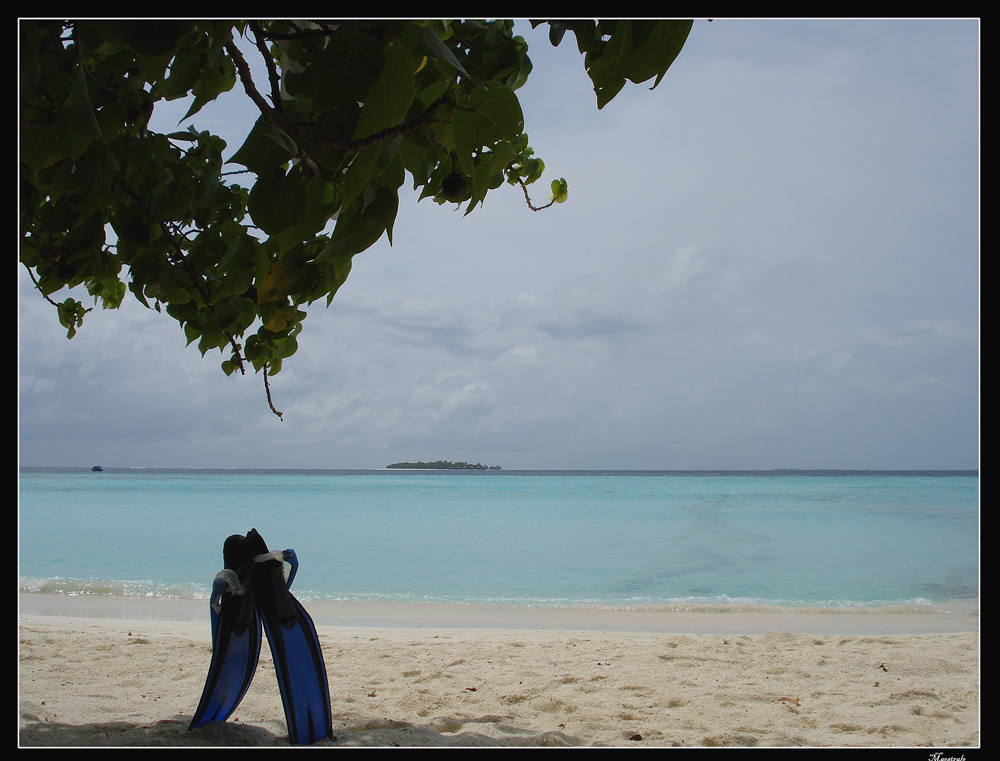 ..Torner� l'estate....