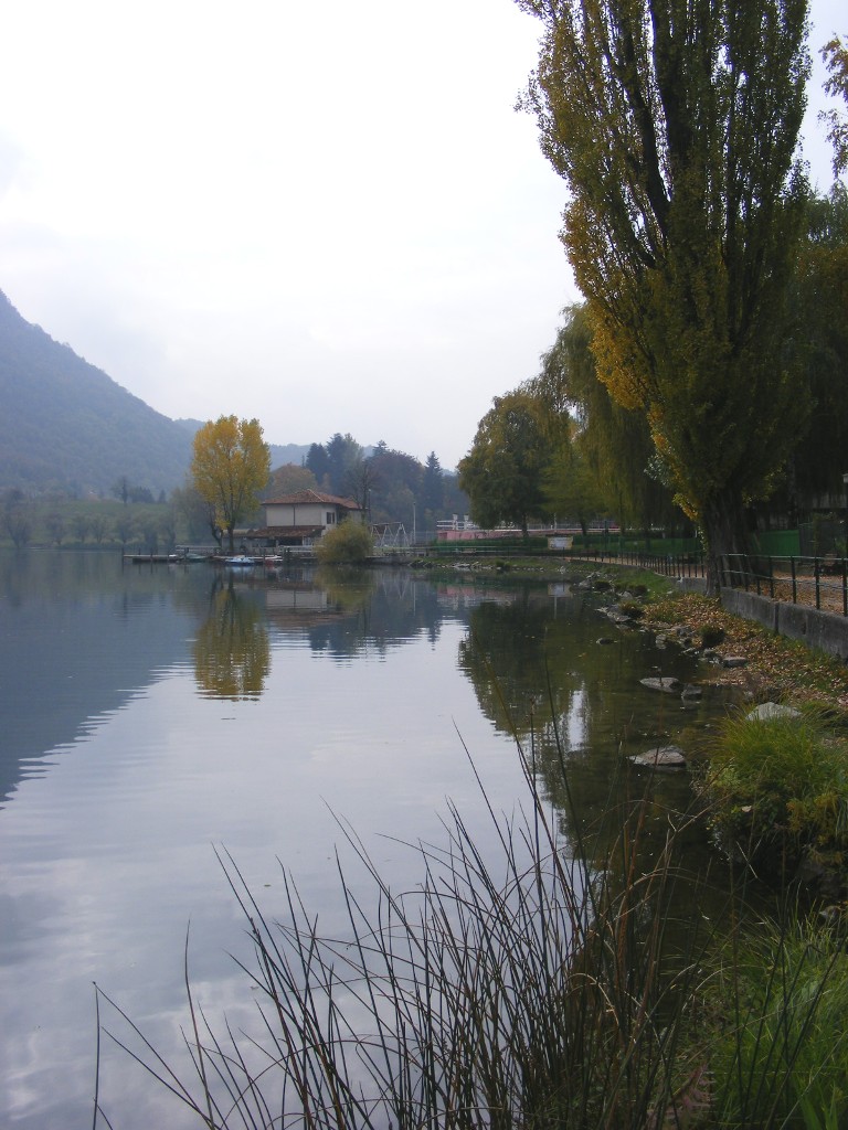 Spinone al lago 2