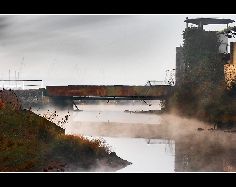 Che cosa portera il futuro