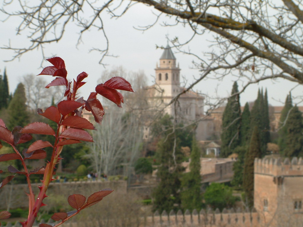 Granada1