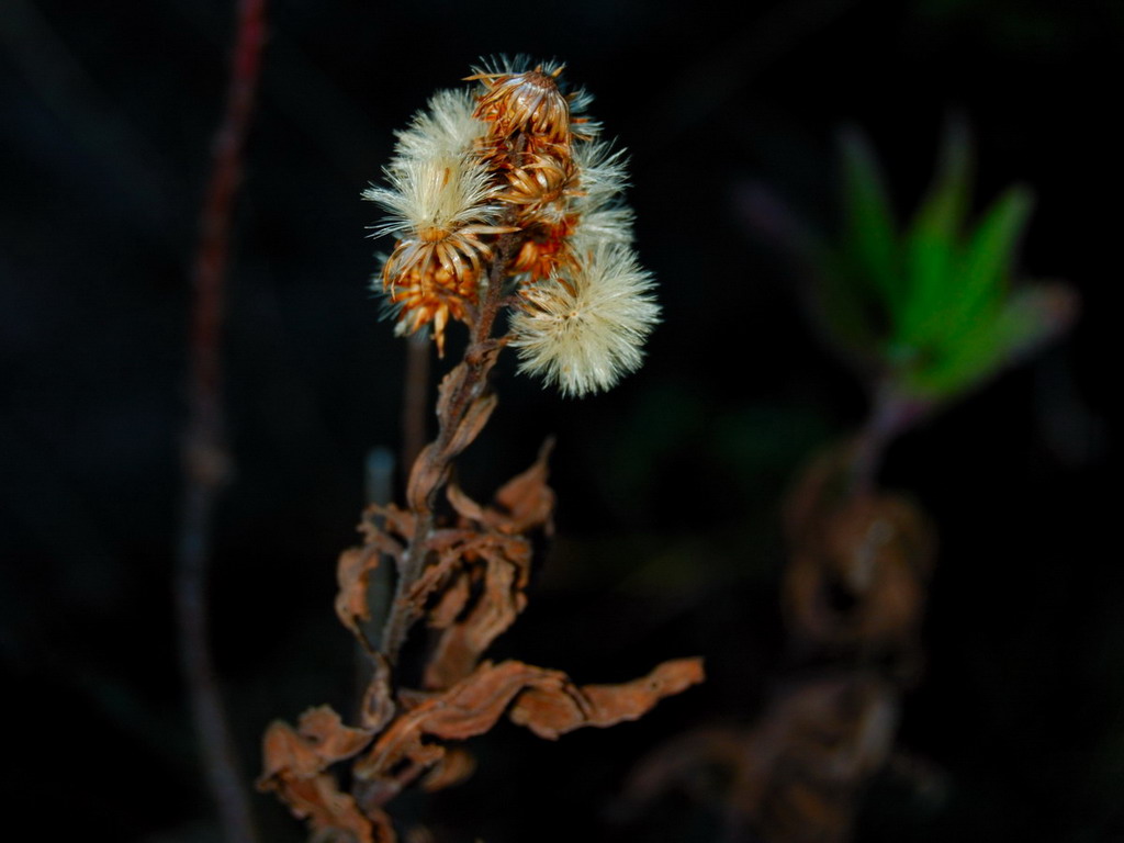 Colori di fine inverno.
