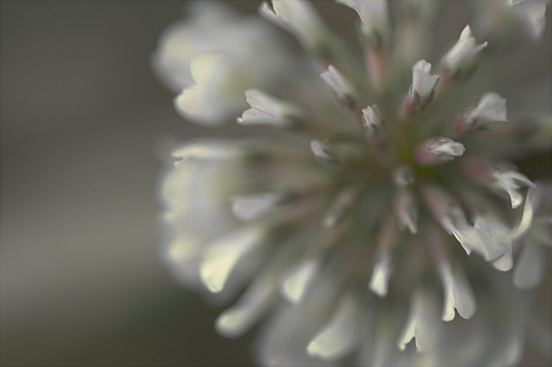 La Forma ed i Colori