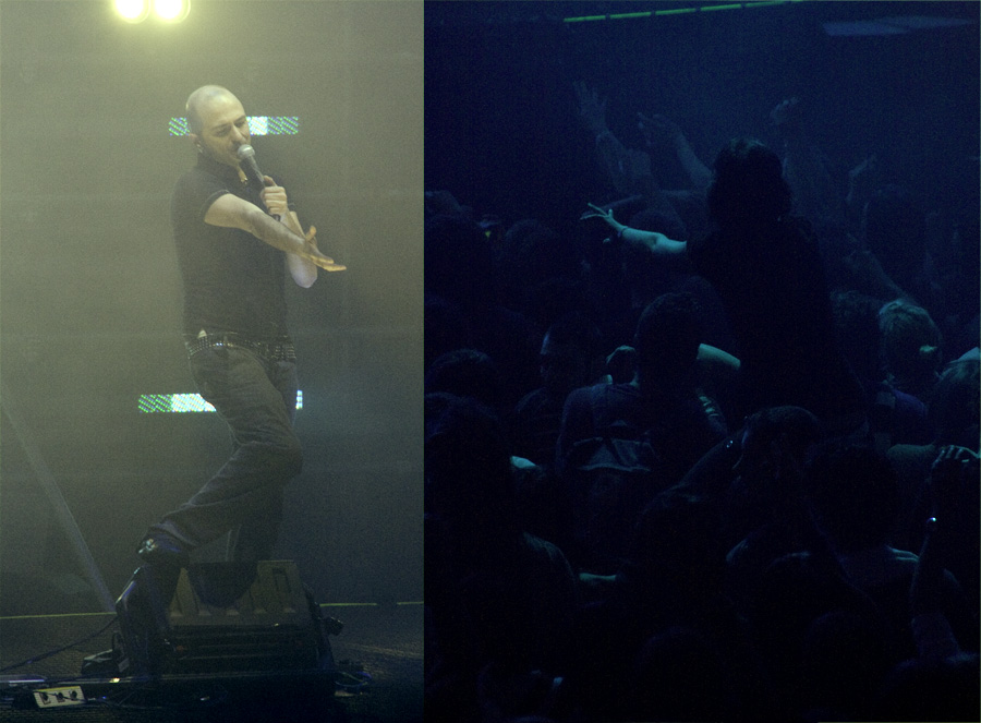 IDOLO- ADULATORE _COLORE_