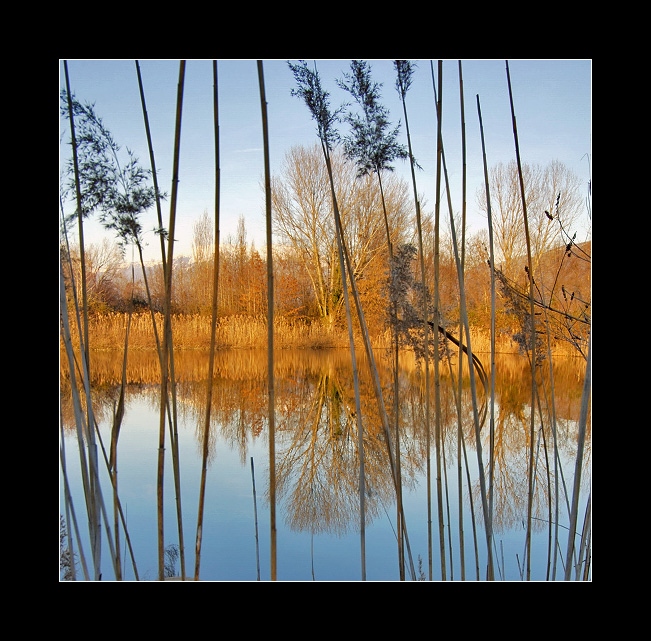 Ho imprigionato la natura