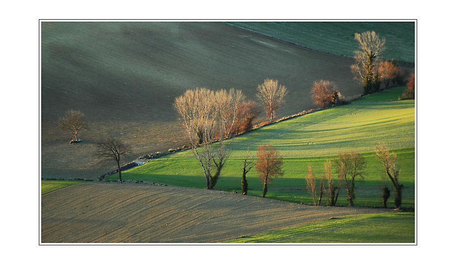Ultimo raggio di sole