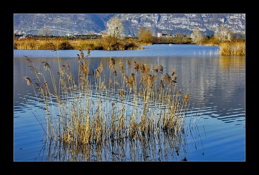 Flessibilt� emersa