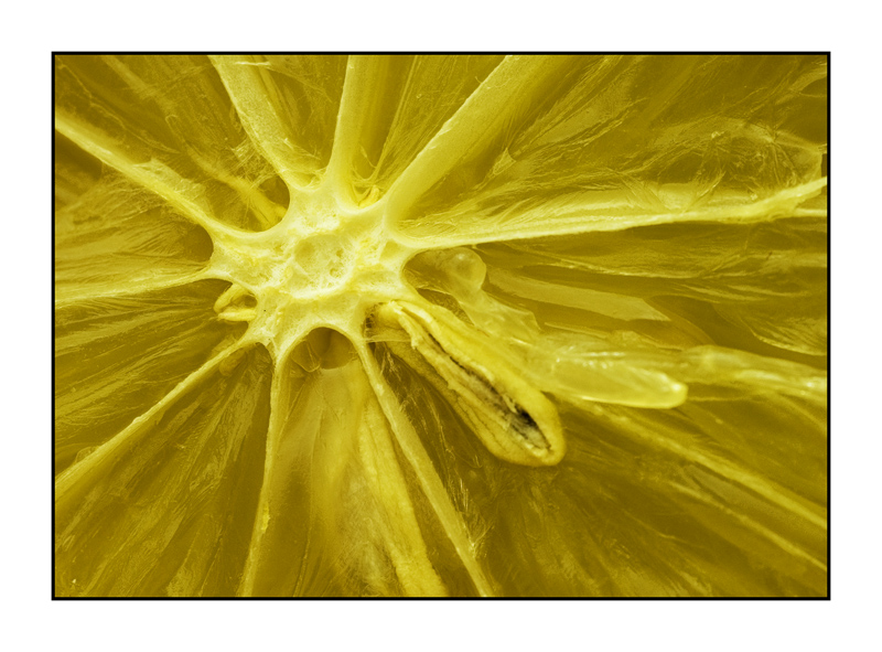 ...bruciature in giallo...