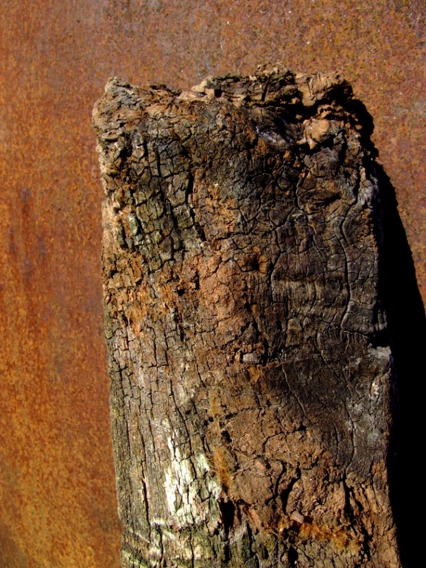 legno e ferro