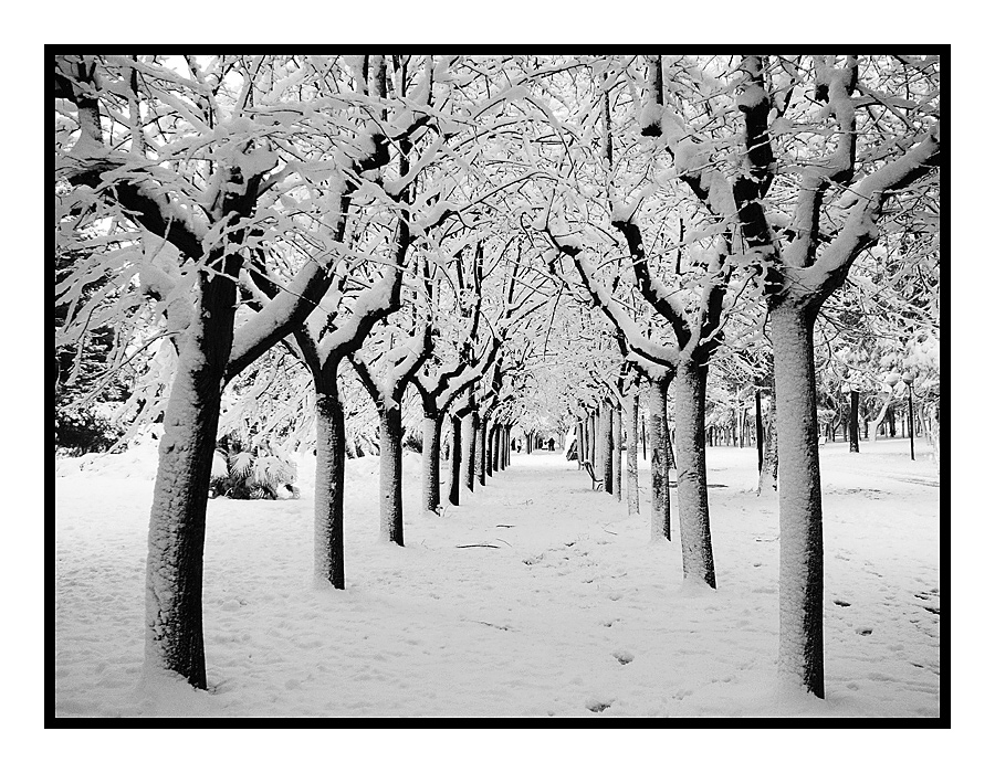 ...viale innevato...