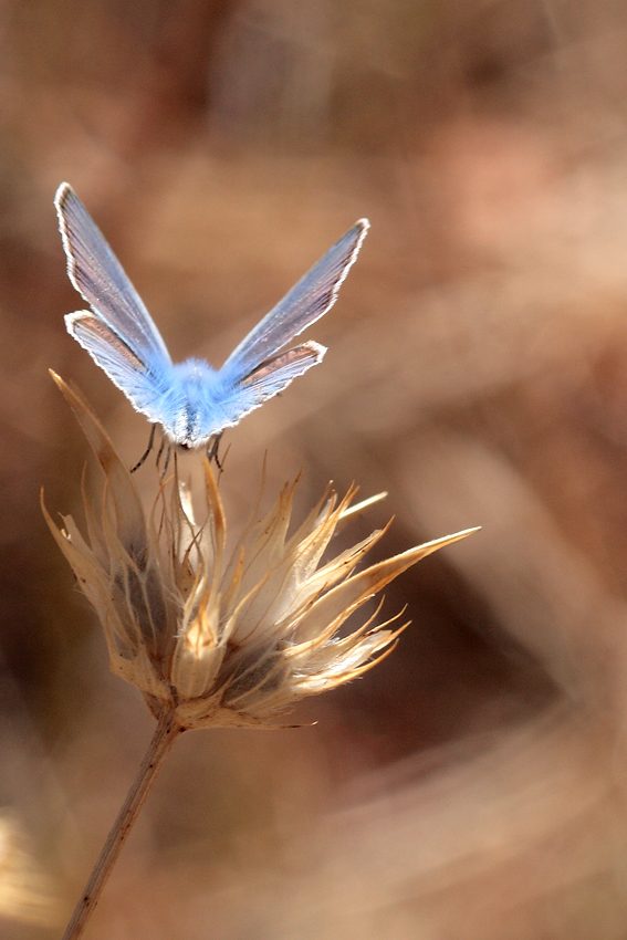 colori e luci dell'estate