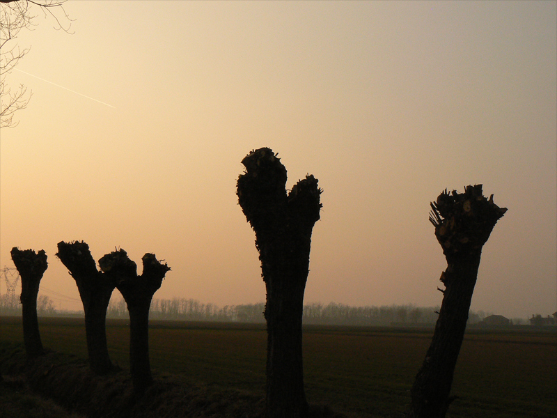 ASPETTANDO LA PRIMAVERA