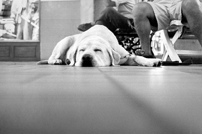 Ancora un sonnellino....