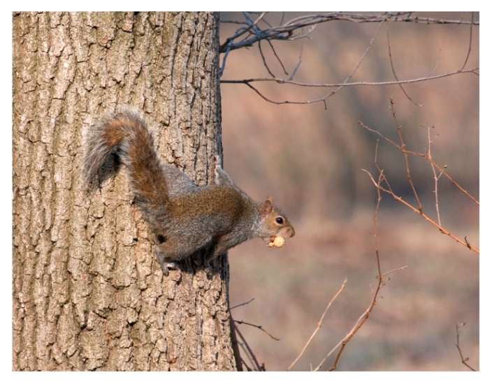 preparane un'altra che arrivo !!!!