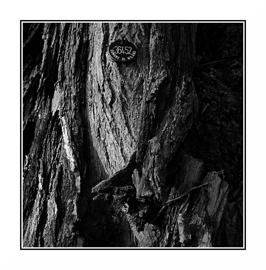 36452 - Comune di Milano