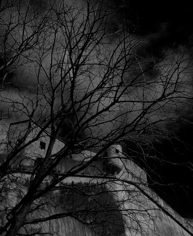 ombre del passato 11