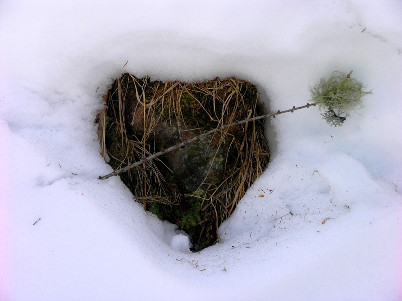 L'amore per la natura