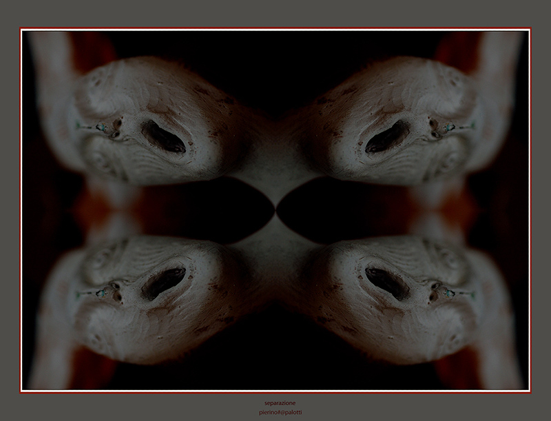 separazione