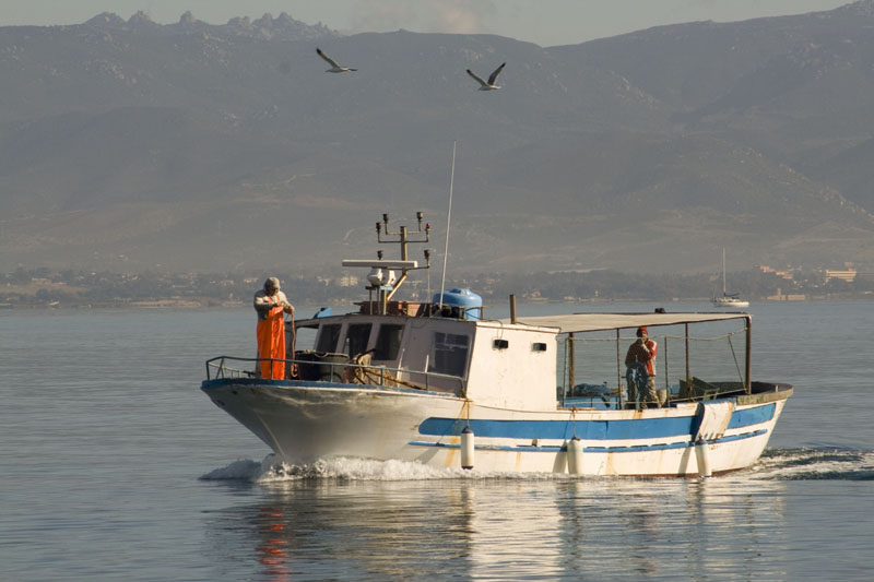 il mare risorsa di vita................