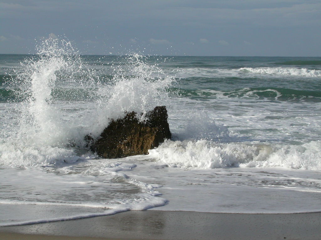 Spruzzi...in un mare d'inverno.Dic