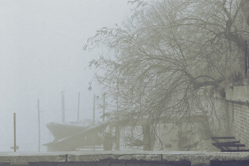 Nella nebbia 02