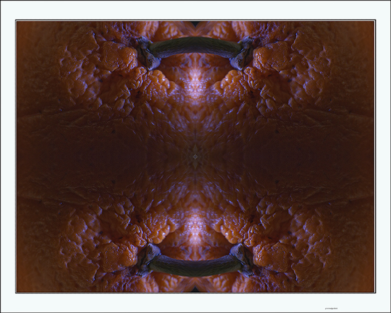 arance con occhielli