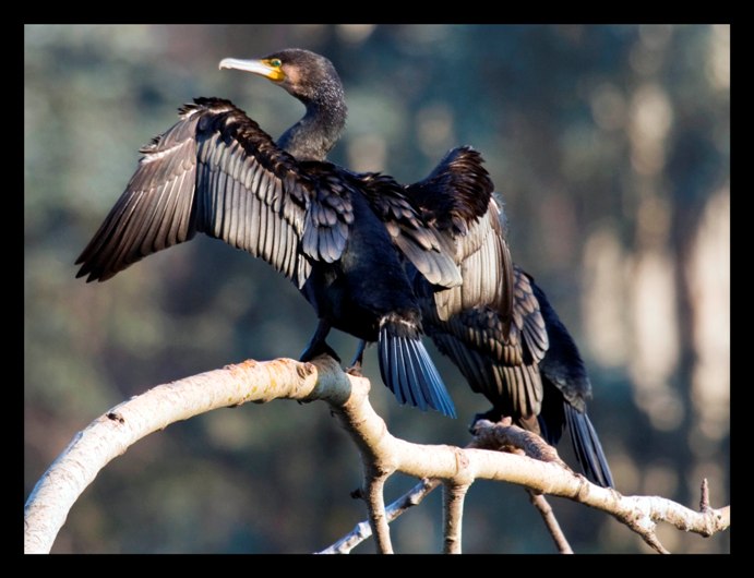 Ultimi raggi di Sole
