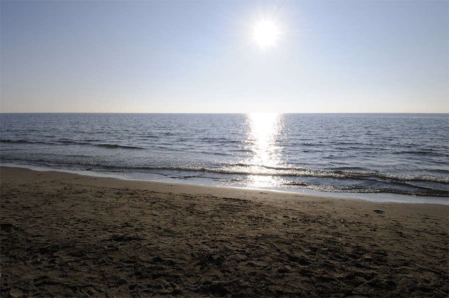 Controluce con d300 e 12 - 24