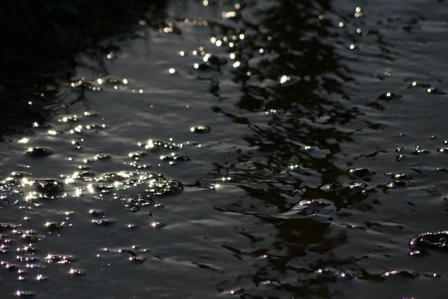 Il fiume oscuro.....