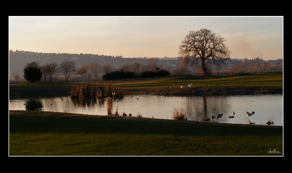 UNA SERATA DI TRANQUILLITA'