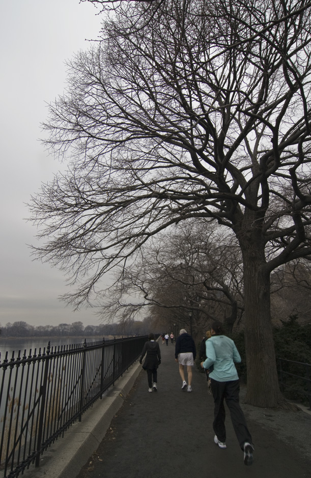 Jogging in Central Park