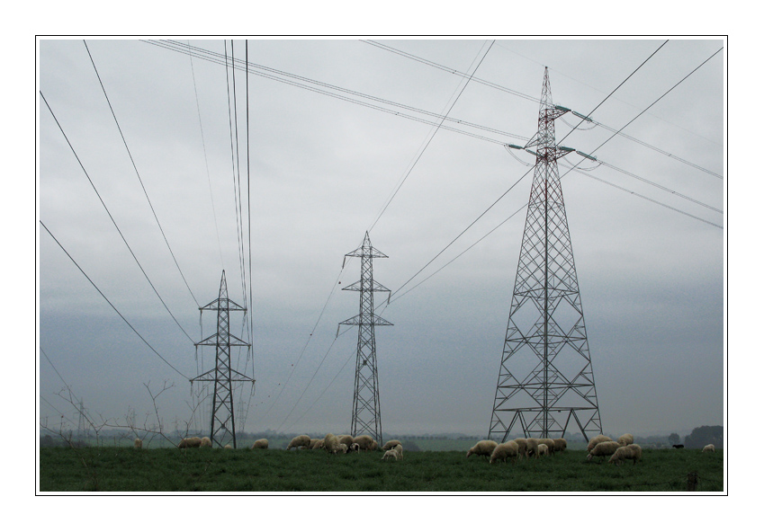 Lana elettromagnetica