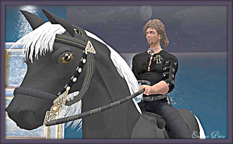 TJ e dil suo cavallo da favola