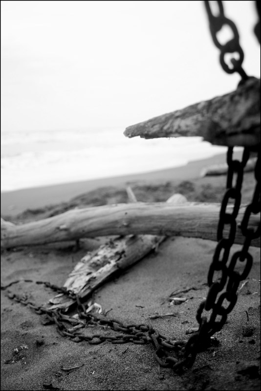 (reportage) natura morta la mare