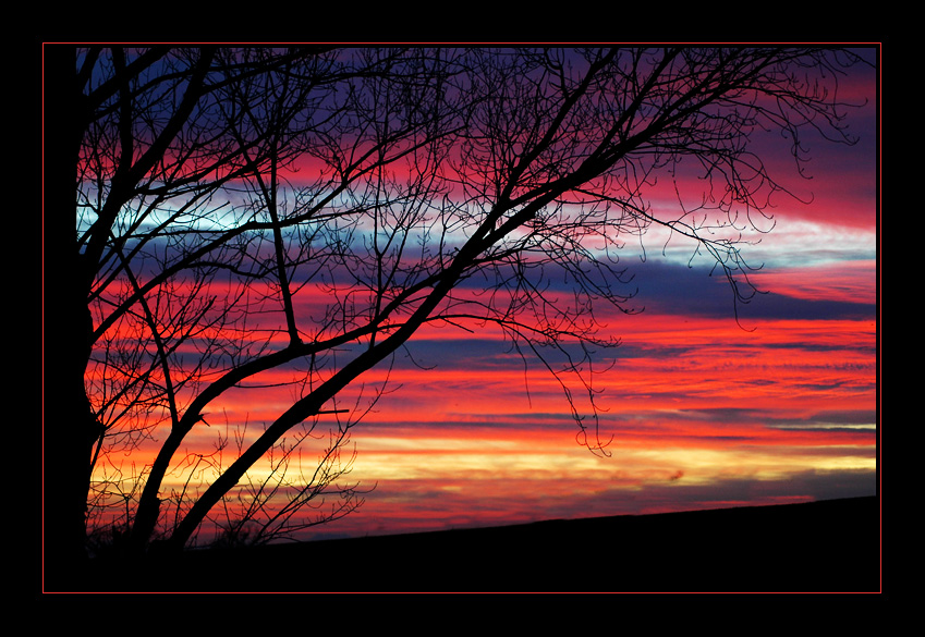 Oltre il caotico intreccio