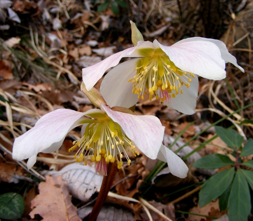 Un inchino dopo lo spettacolo