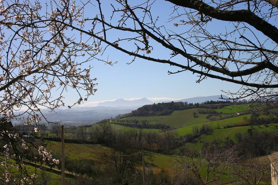 Prime cornici primaverili