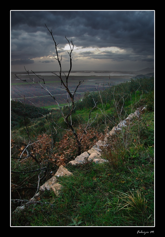 Arbusti e nuvoleee, l'altra faccia di filettoleeee