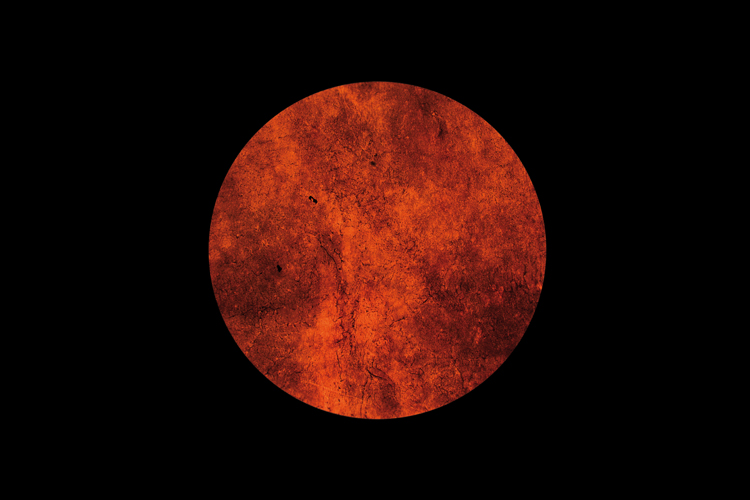 ricreazione di Luna in studio