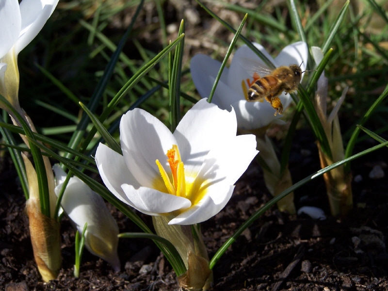 Il mondo sotto di noi
