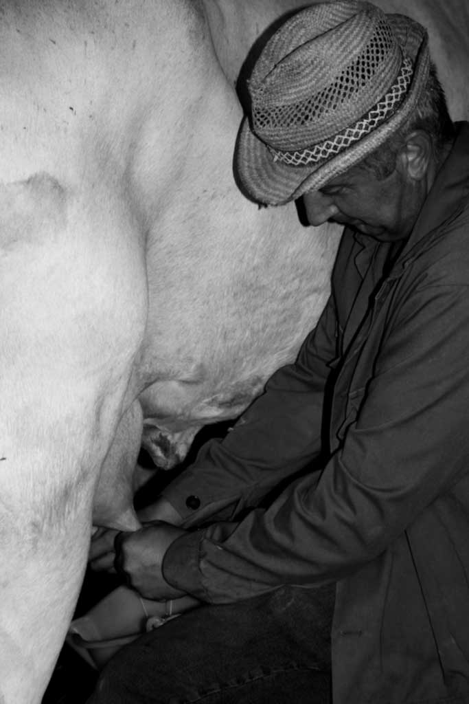 Bianco come la neve2