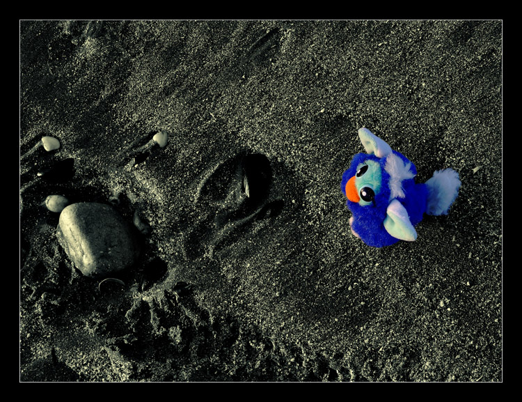 Le Prime Forme di Vita Intelligenti sulla Luna