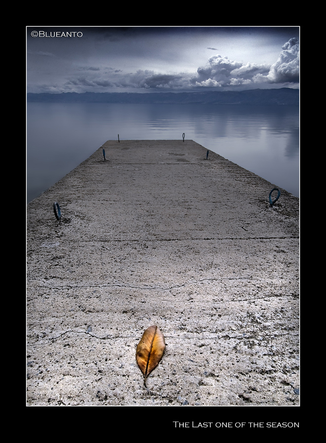 The last one of the season