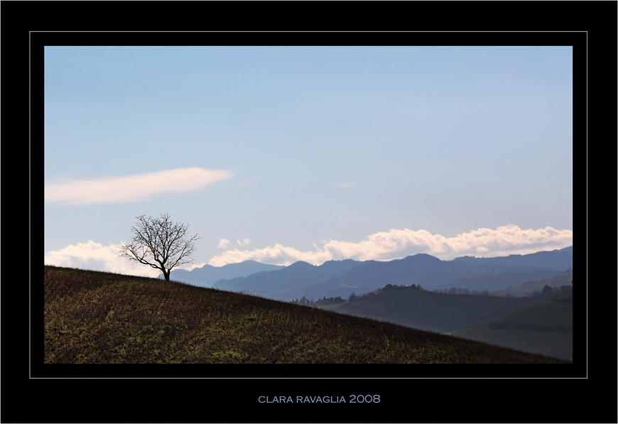 A sweet little loneliness... between Earth and Sky