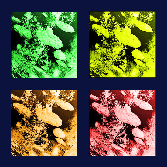 AsterWarhol