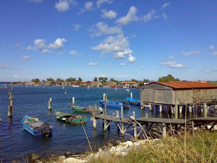 Sacca degli Scardovari