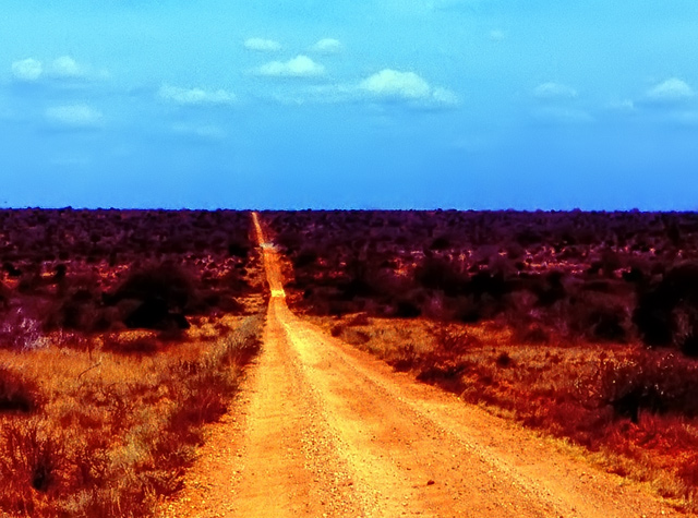 the long way to home