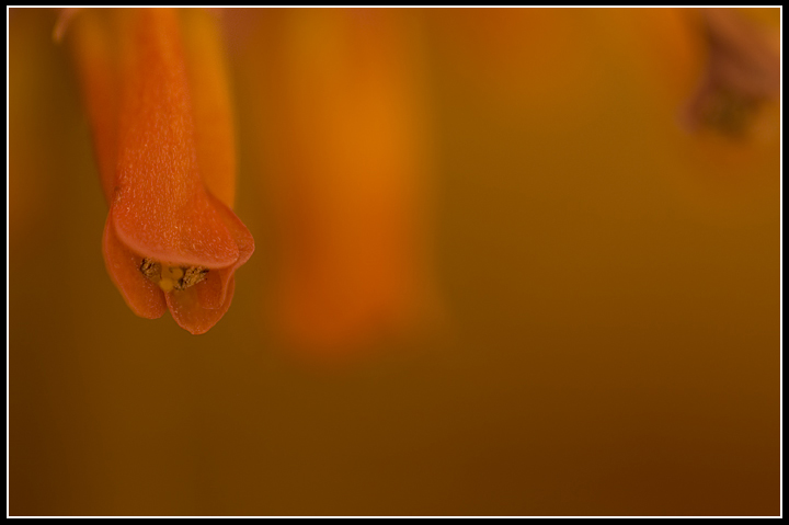 esperimento a luce scarsa